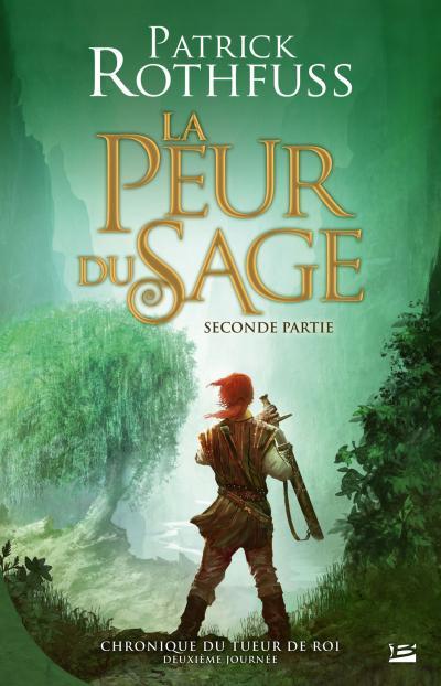 La Peur du Sage audiobook cover